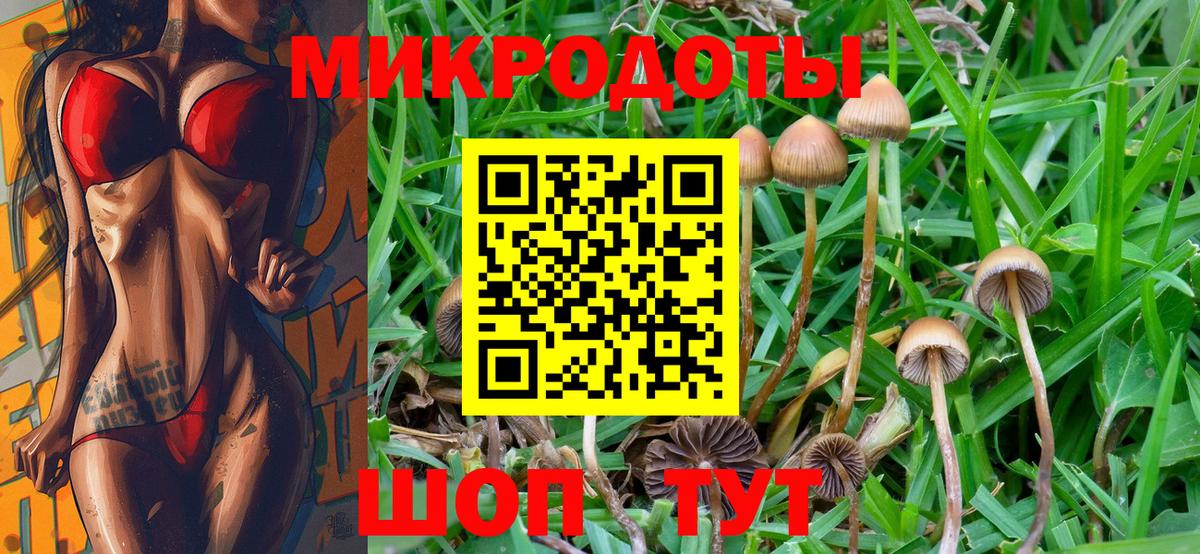 Галлюциногенные грибы MAGIC MUSHROOMS  как найти   Электросталь  Вход с VPN 